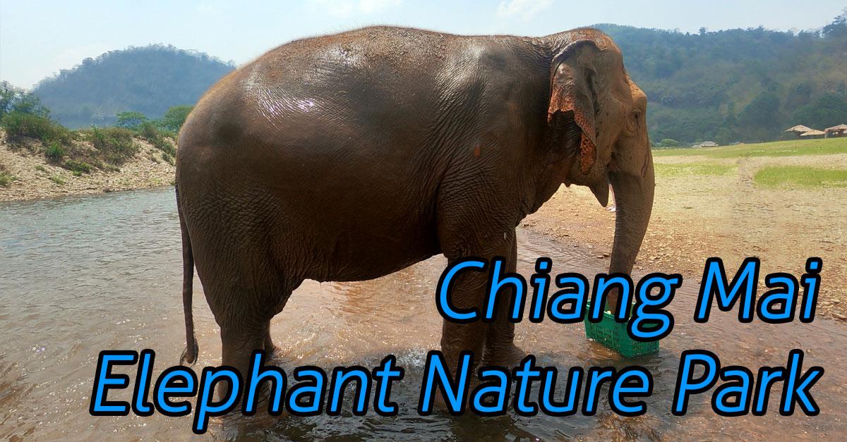 Elephant Nature Park - Ethically See Elephants In Chiang Mai (and What 